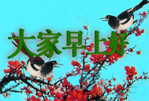 喜鹊问候，大家早上好