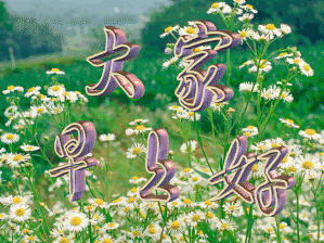 转动的大家早上好