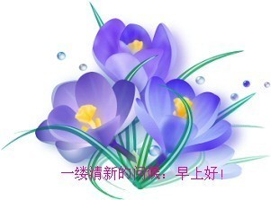 给你一缕清新的问候