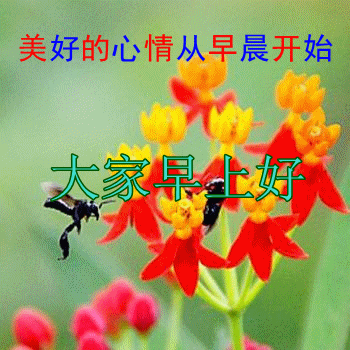 美好的心情从早上开始