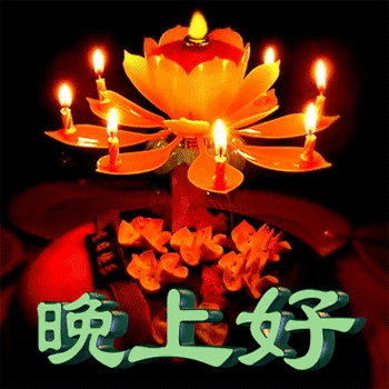 各自旋转的三个字“晚上好”