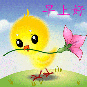 嘴里叼支花路过，早上好