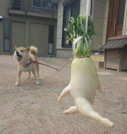 别咬我啊，赶紧跑