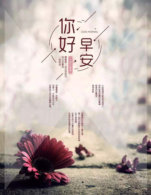 你好！早安