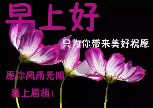 早安！愿你风雨无阻，喜上眉梢