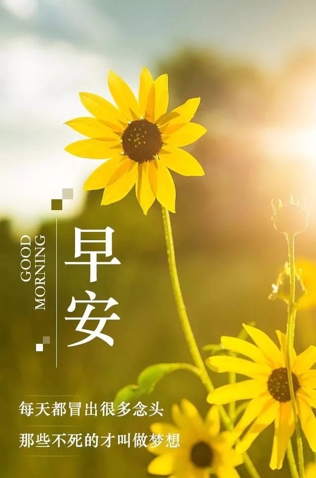 朋友早上好！每天那些不死的念头才叫梦想
