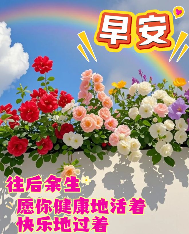 早安祝福语：往后余生，愿你健康地活着